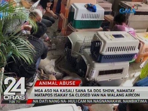 Yogurt sa pagbaba ng timbang Tumingin sabihin nating 2016 diyeta tableta