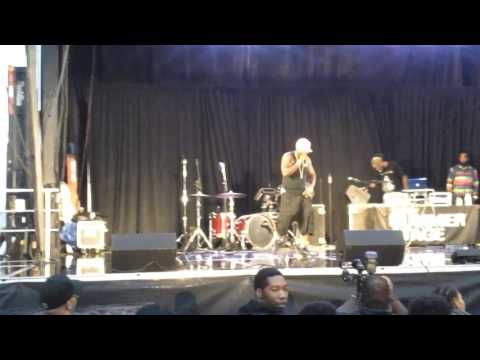 Special live opener @ the Mr Cheeks & Large Professor Summerstage 07/17/2017 Video #02