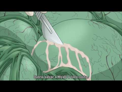 宇宙からまたペニスが見えるようになりました