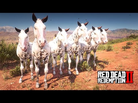 Taming the Rare Thoroughbred - Delivering the 5 Horses - Red Dead Redemption 2