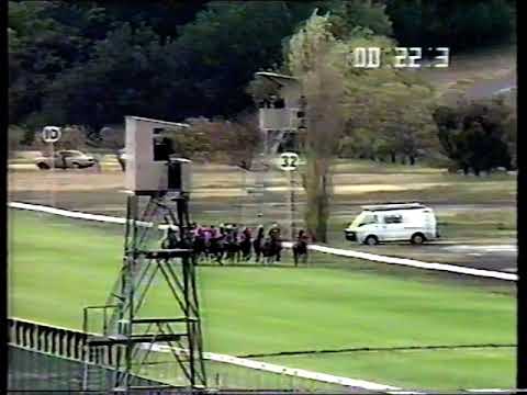 1991 Newmarket Hcp