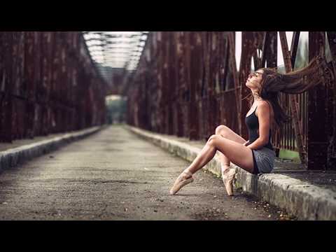 Michael Meets Mozart (Jon Schmidt)