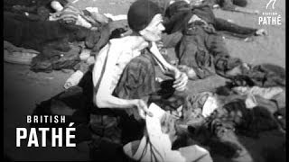 [閒聊] Hellsing是否顯示日本動漫欠缺政治正確