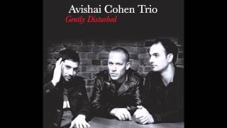 Avishai Cohen - Seattle