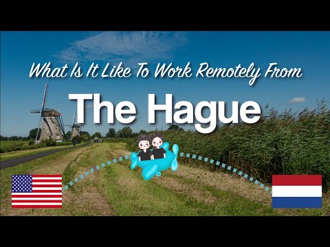 Daily Life Working Remotely From The Hague | Netherlands