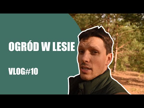 Vlog ogrodniczy #10/ Pielęgnacja ogrodu w lesie