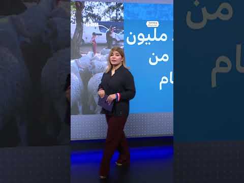 فيديو | الجزائر تستورد مليون رأس ماشية استعداداً لعيد الأضحى