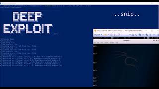Deep Exploit (beta) Training mode.