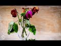 Beautiful Romantic Music ● Il Dio Sotto la Pelle - It's Possible Again ● Piero Piccioni (HQ Audio)