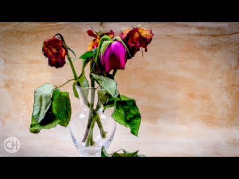 Beautiful Romantic Music ● God Under the Skin - It's Possible Again ● Piero Piccioni (HQ Audio)
