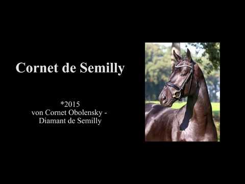 Cornet de Semilly Hengstvorführung 2019
