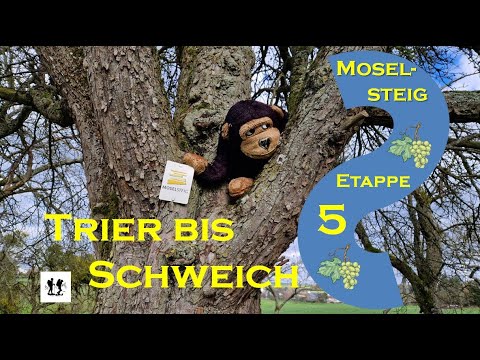 Moselsteig, Etappe 5: Von Trier bis Schweich