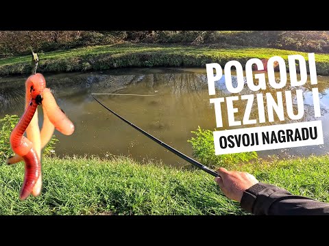 PECANJE SARANA NA PLOVAK - STANDARDAN DAN NA KANALU