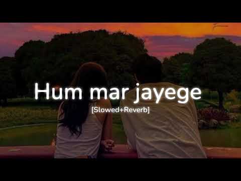 Hum mar jayenge (Slowed+Reverb) ~ Arijit Singh, Tulsi Kumar