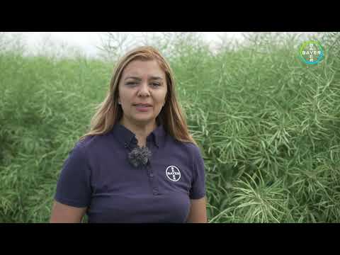 BAA Marghita 2023 - DK Expose