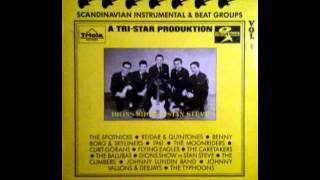 Dions Show - Tennessee Waltz (Cowboy Copas Cover)