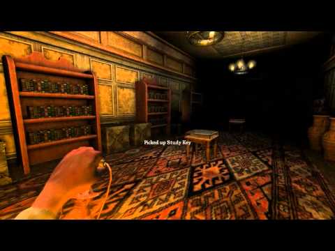 #3 West Chicken Wing - Amnesia: Abduction