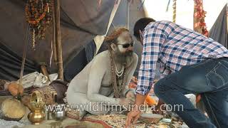 Indian sadhu hangs around at the Kumbh Mela, as the last day nears, on Maha Shivratri video