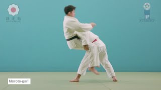 [問卦] 空手道跟柔道有什麼不同??