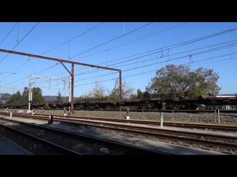 5 NR's lead 5NY3 (incl 2 Indian Pacific) - 20/8/15