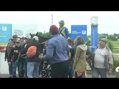 221030 c01 - LONGBOARD (BRZ) - SINT COLONIA