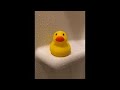 Barstow (Bill Morrissey cover) ~ Mr. Vague