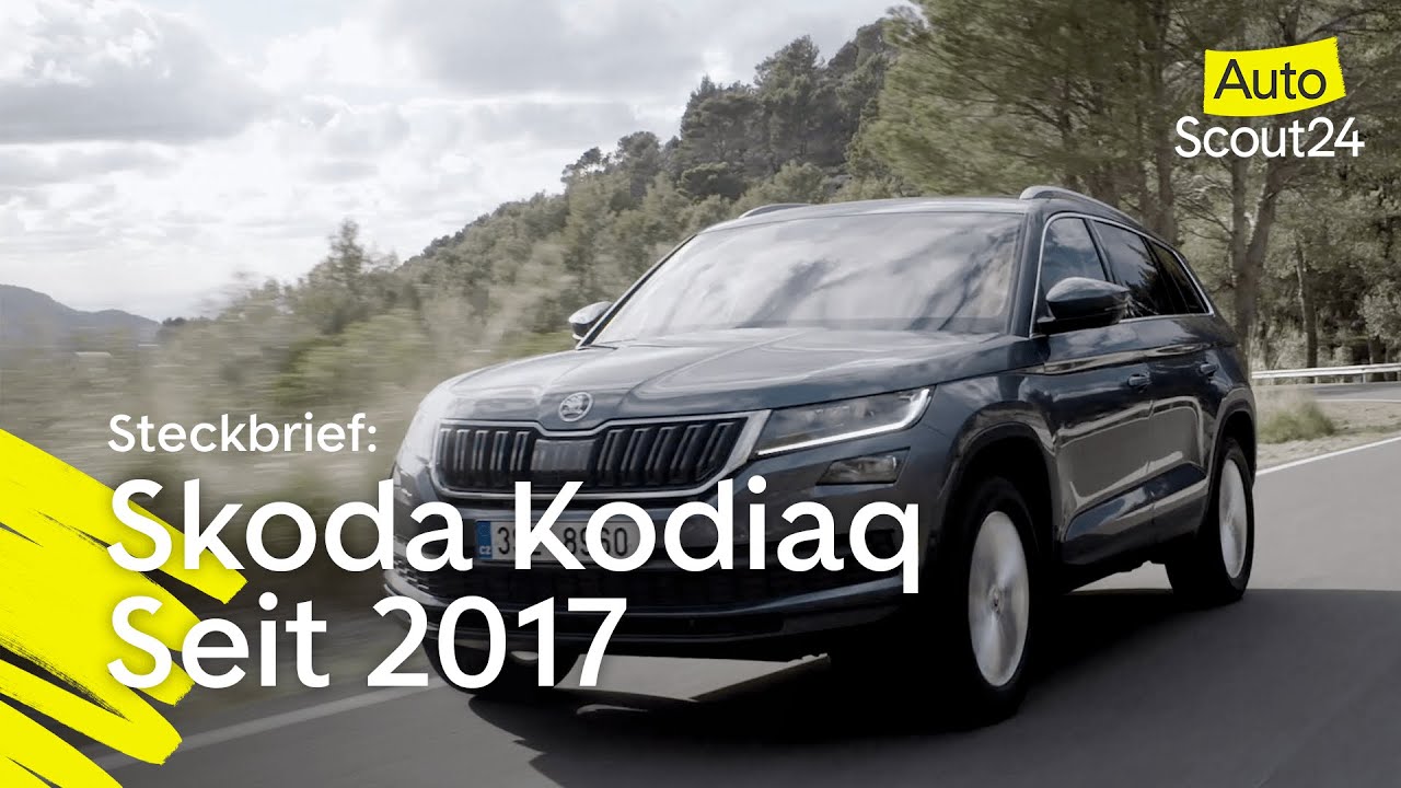 Skoda Kodiaq - Infos, Preise, Alternativen - AutoScout24