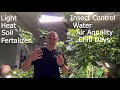 How to grow figs indoors. 8 main considerations. The fundamentals. If I can do this, anyone can.
