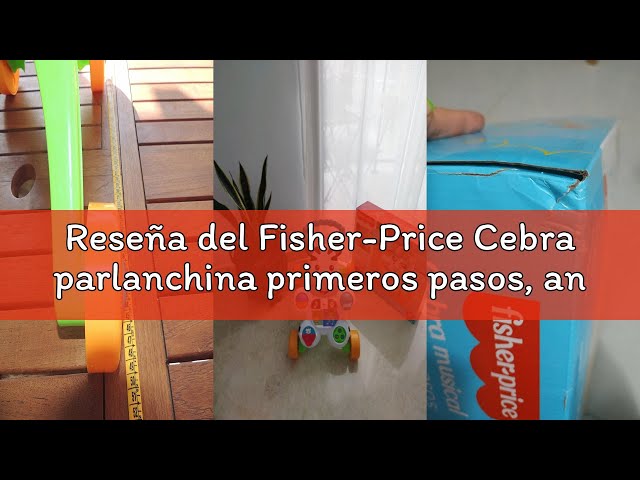 Vídeo relacionado con Fisher-Price Ríe y Aprende Cebra parlanchina primeros pasos, andador correpasillos bebé +6 meses, versión español (DLD87)