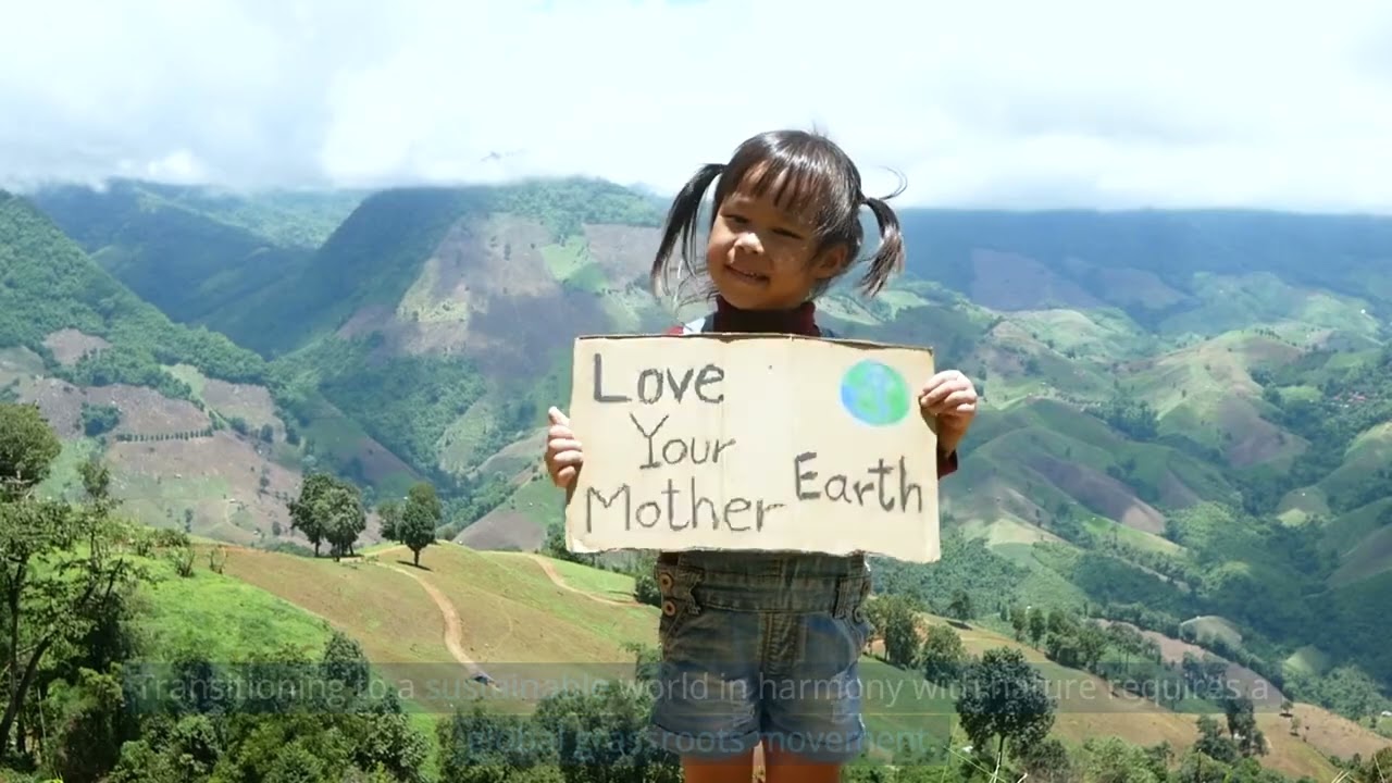 Introduction to Sustainability