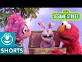Sesame Street Elmo And Abby S Picnic Basket