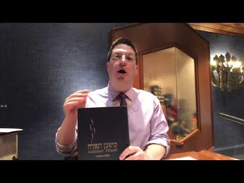 Our Prayerbook - Mishkan T'filah