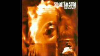 Straight Line Stitch - 20mm Hotbox