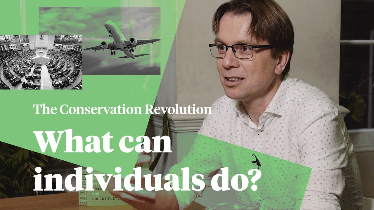 Individual action is not the solution to our environmental problems | Bram Büscher