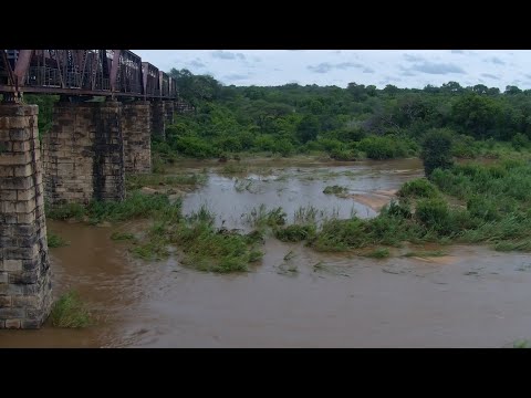 Kruger Flood Update - Water Levels Subsiding | 21 Jan
