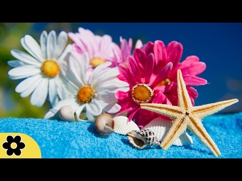 Spa Music, Massage Music, Relaxing, Meditation Music, Background Music, ✿469C