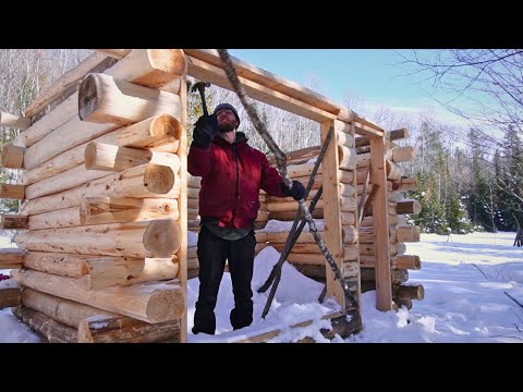 Building a Cedar Log Sauna | Ep. 4 | We finished the walls, despite the Cold, Pregnancy, and Snow!