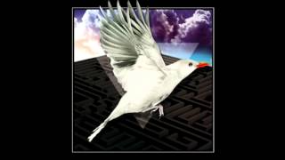 Ivan Nieto - SKIT - Mirlo Blanco