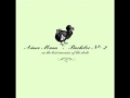 Backfire / Aimee Mann