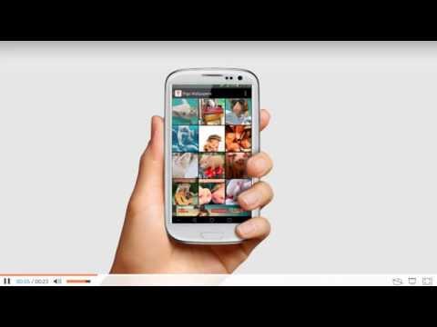 Pig Wallpapers Video