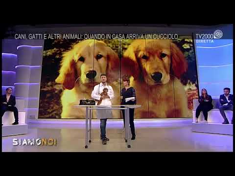 Siamo Noi - puntata del 12 ottobre 2017