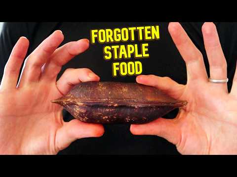 Forgotten Indigenous Foods of Australia - Moreton Bay Chestnut & Satin Ash