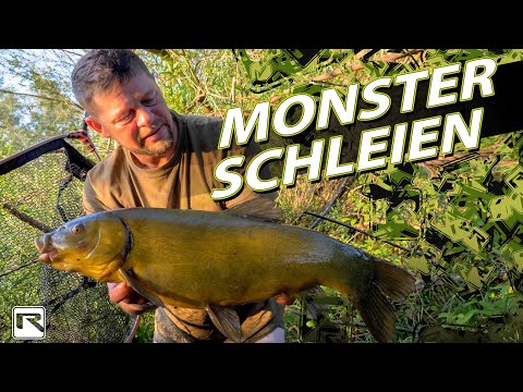 Schleien angeln? So greifst du gezielt die GROSSEN Dinger ab :-) Futter & Montagen