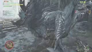 かなりの久しぶり　モンスターハンターワイルズ