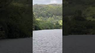 #cruise #adventure #funtimes #vacation #travel #travelphotography #vlog #blog #cruiseadventure