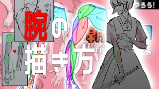 腕の筋肉解説完全版 朝ドロ#61 90秒ドローイング【初心者歓迎】Explains how to draw the muscles of the arms.