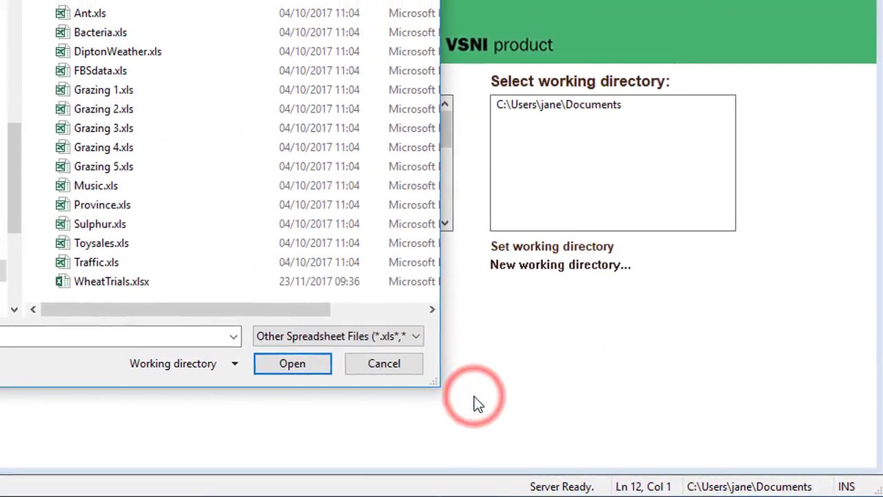 Importing an Excel spreadsheet into Genstat