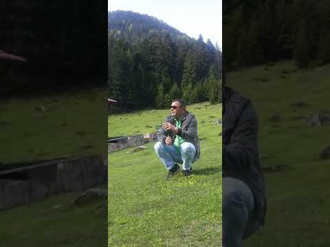 ibrahim sarı kelapatği