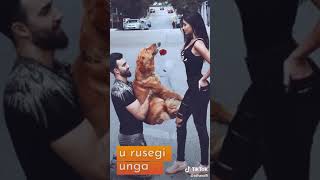 Download lagu Tujhse dur kyu jaunga- Male version mp3 Download lagu Tujhse dur kyu jaunga- Male version mp3