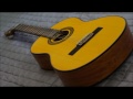 Đàn Guitar Classic Yamaha C80